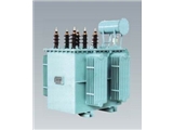 BAMH113-1000-13W